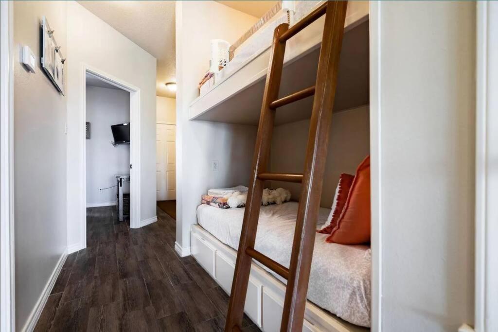 דירות ניו בראונפלס Guadalupe Getaway מראה חיצוני תמונה